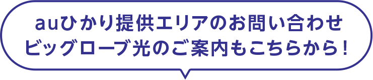 ビッグローブ光のお申込みはサイト内のフォームからお申込みください！