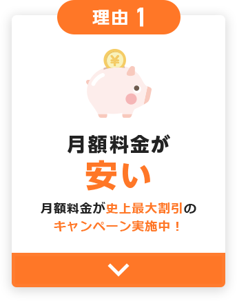 理由1 月額料金が安い