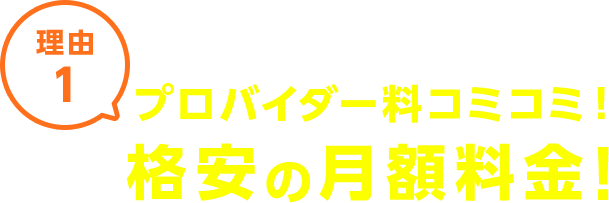 理由1 プロバイダー料コミコミ！格安の月額料金！