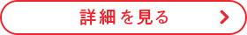 詳細を見る