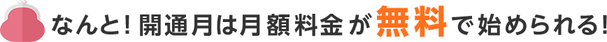 なんと！開通月は月額料金が無料で始められる！