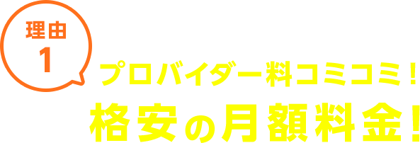 理由1 プロバイダー料コミコミ！格安の月額料金！