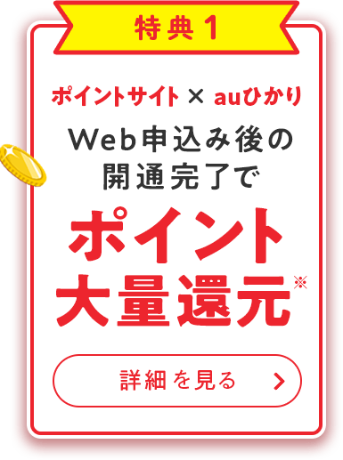 特典1 ポイント大量還元