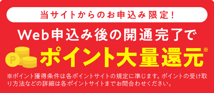 大量ポイント還元キャンペーン